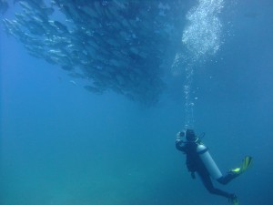 baja vacation rental